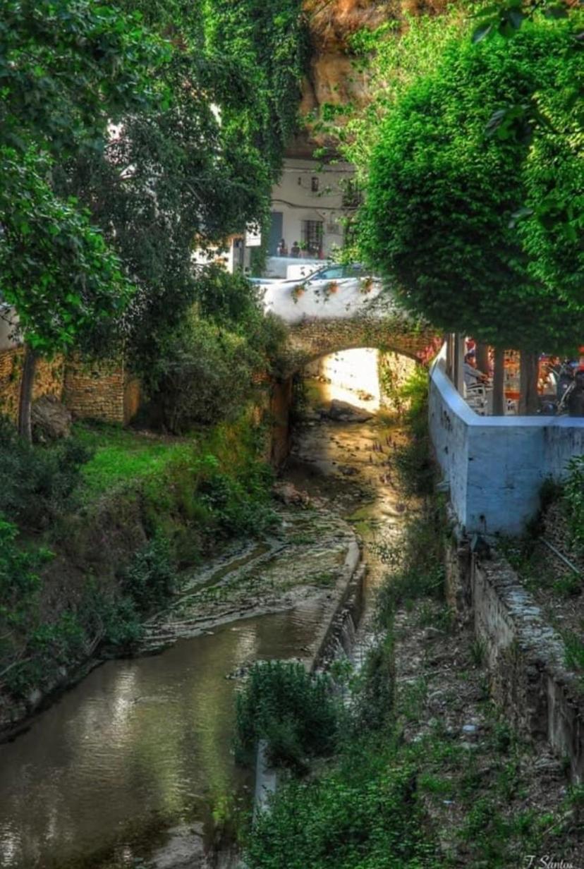 Villa Casa Cueva Un Rincon En La Roca Setenil De Las Bodegas Exterior foto